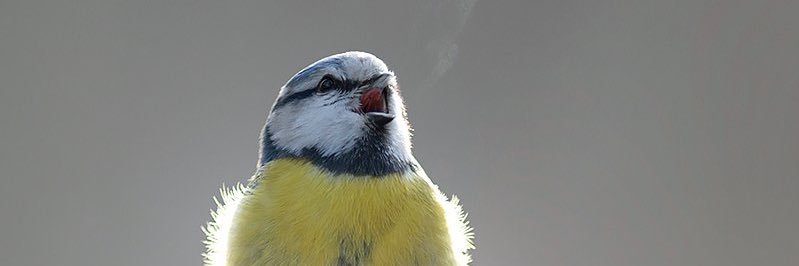 UkaFranklin's profile banner image