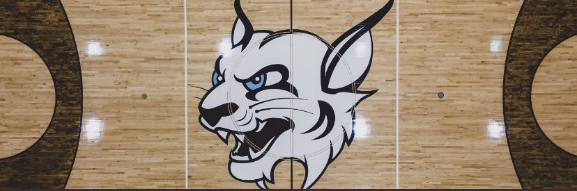 STU Women's Basketball's banner