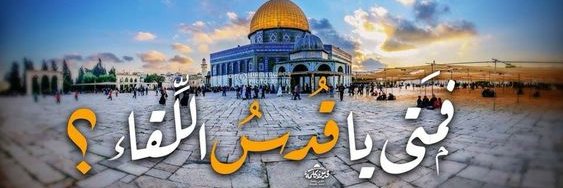 AliaaQamer's profile banner image