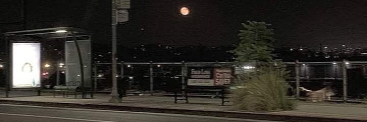 oceanbatz's profile banner image