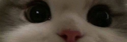 aasfvck's profile banner image