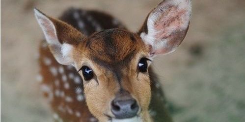 ZsofiiAnnaa's profile banner image