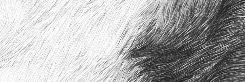 ｂａｄ ｐａｎｄａ banner