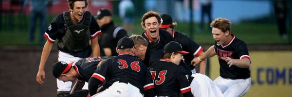 BVLynxBaseball Profile Banner