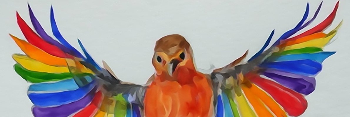 nnb23nnb's profile banner image