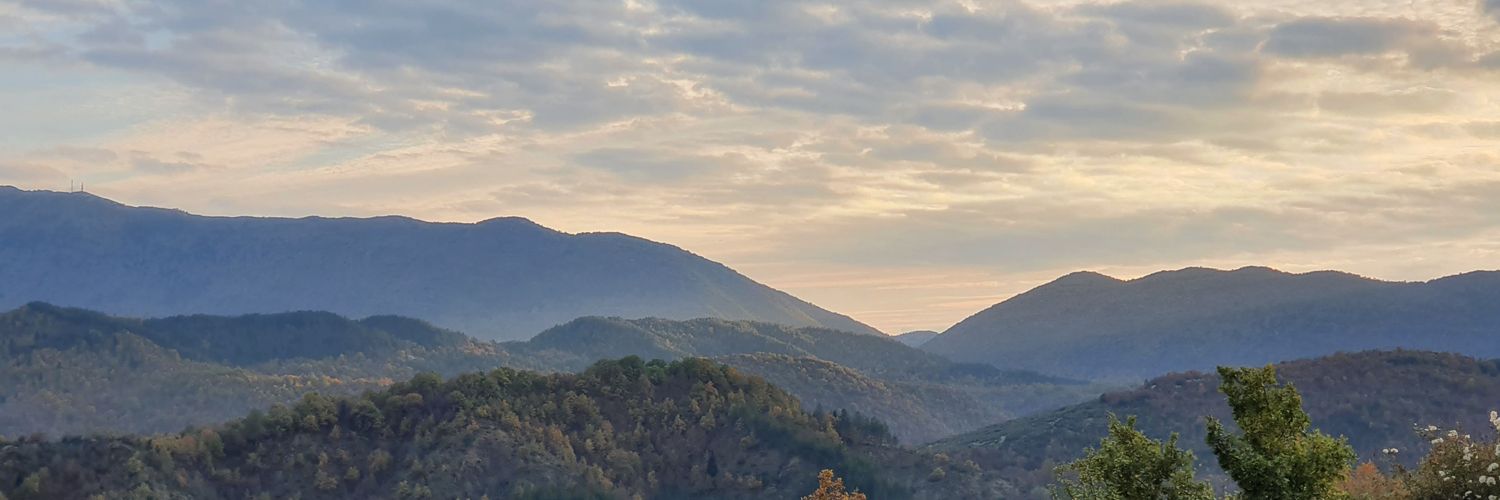 Julyunter's profile banner image