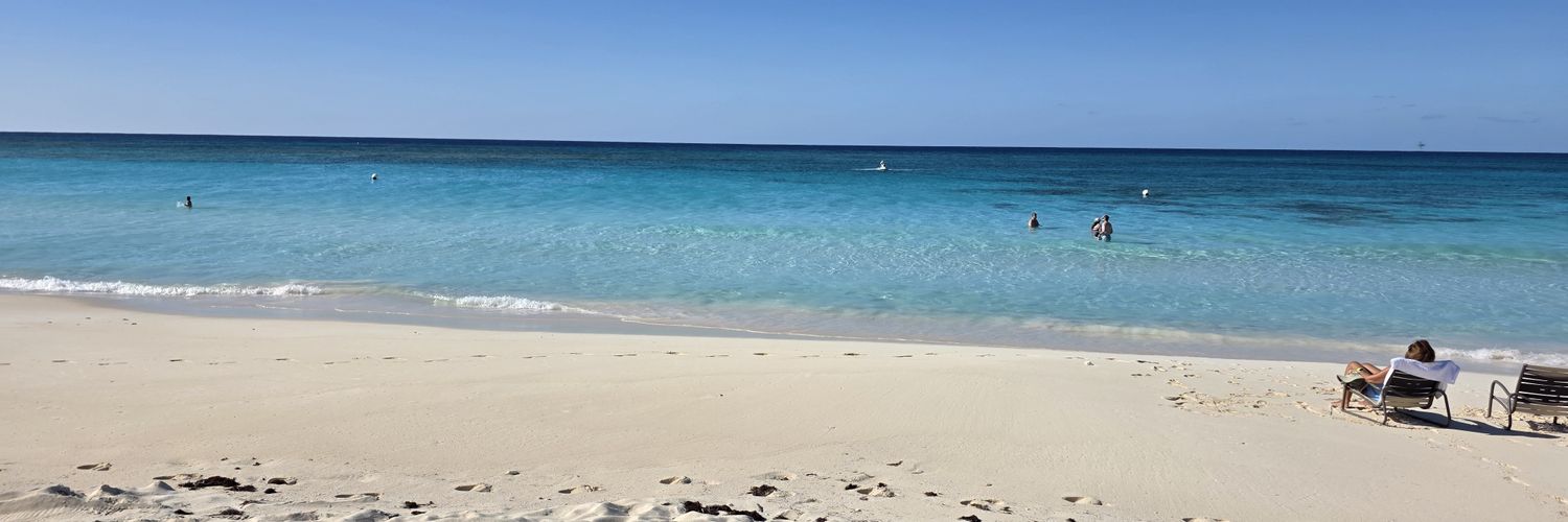 WhoDatRazorback banner