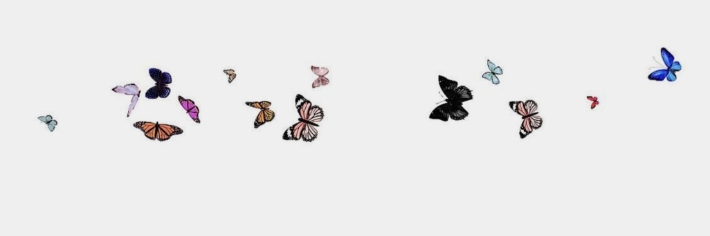 ℳ𝒜𝒩𝒜ℒ banner