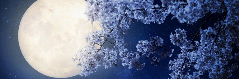 Planetar 🌍 banner