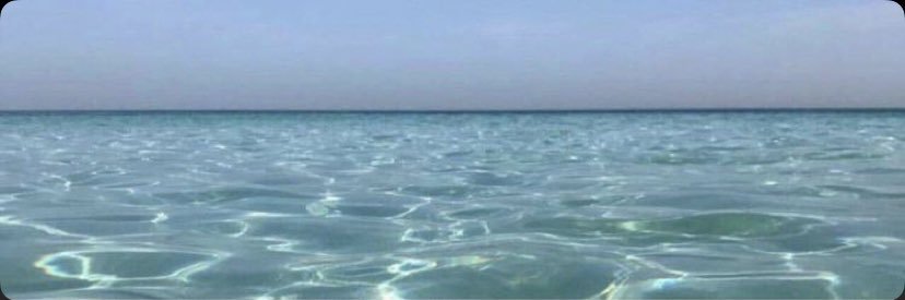 who? banner