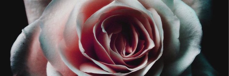 emi__lynn's profile banner image