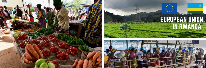 EU Delegation to Rwanda banner