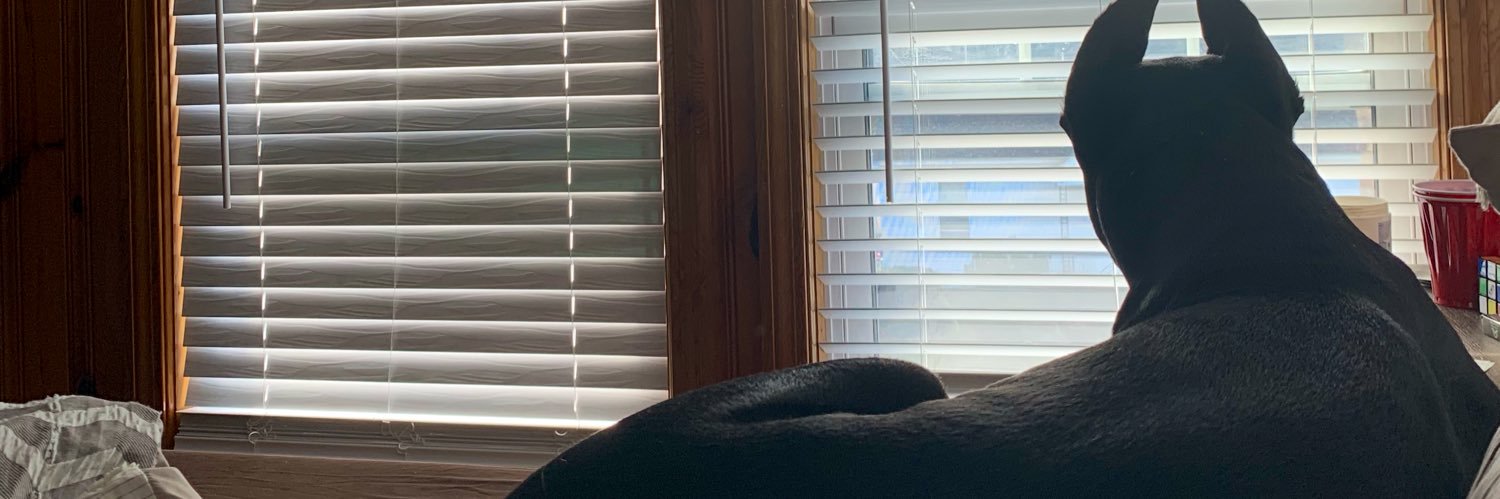 snchzohyea's profile banner image
