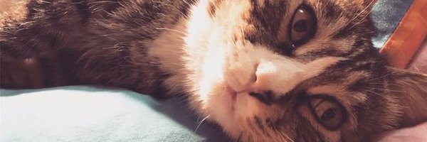 keaising Profile Banner