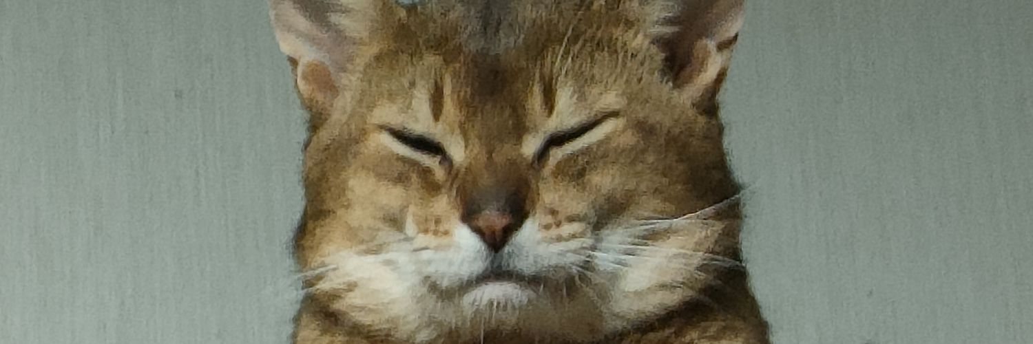 76froberto's profile banner image