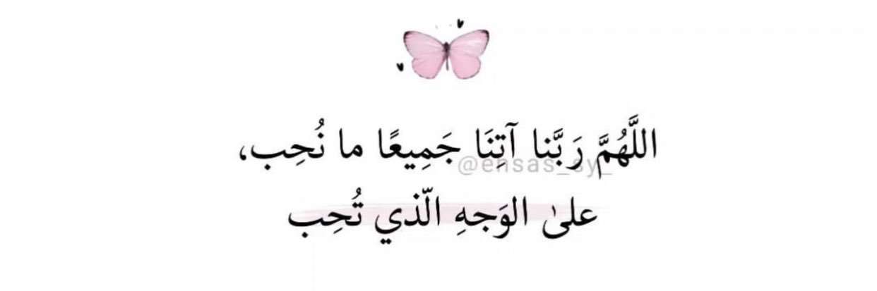 نور علي banner