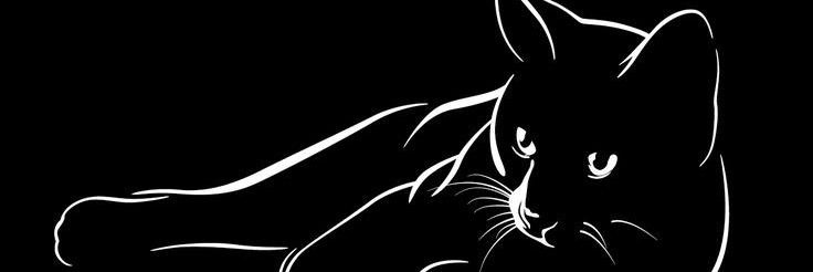 Yurikoo7's profile banner image