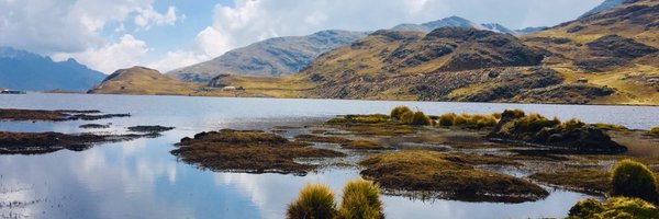 manidg Profile Banner