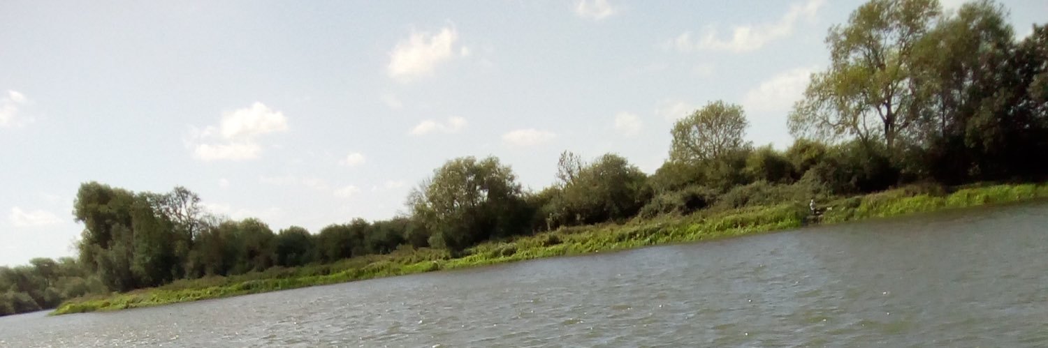 BreakingNelson's profile banner image