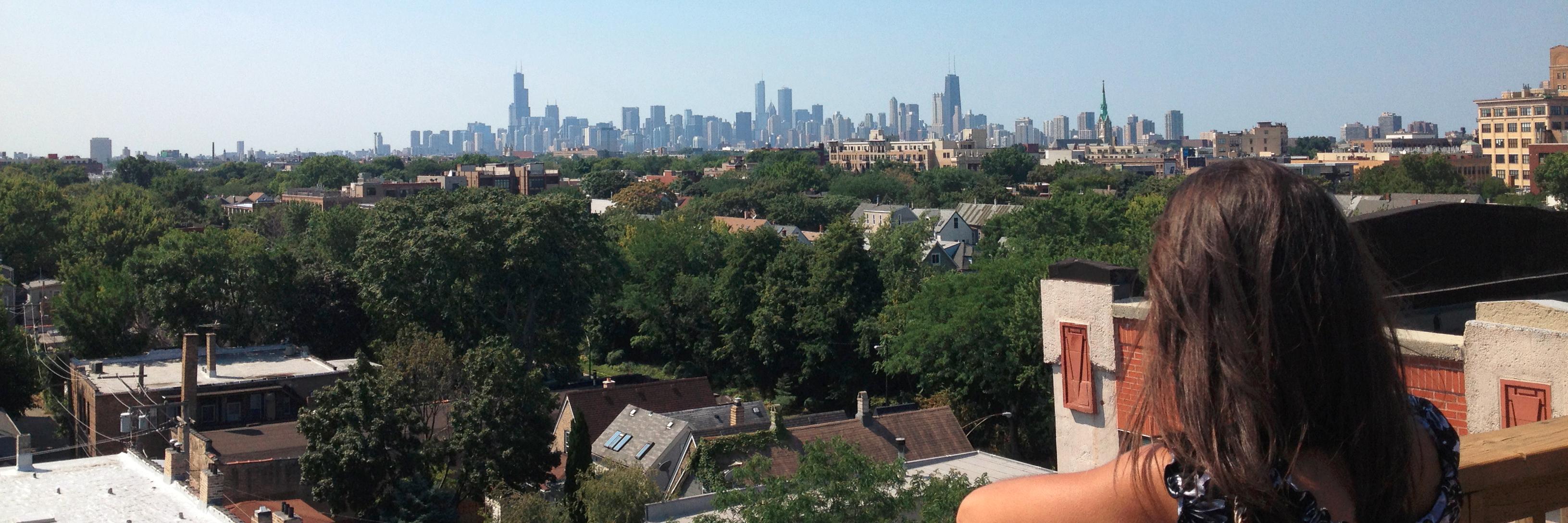 Carlyn Porter banner