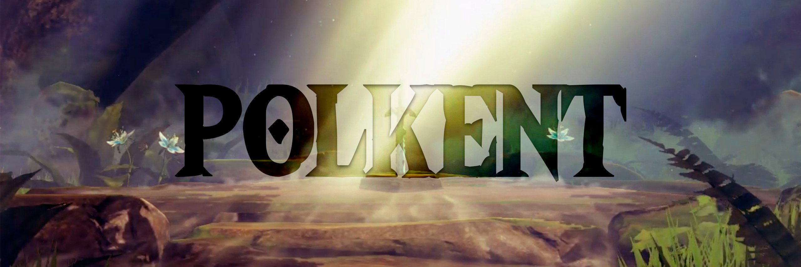 polDkent's profile banner image