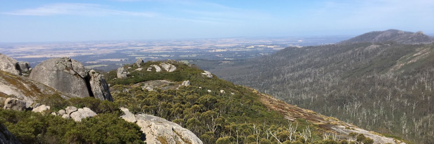 Leonie Valentine banner