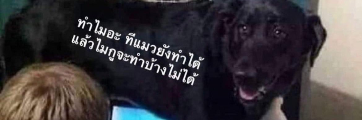 โจชาวไร่ 𓂃܀𓇬 banner