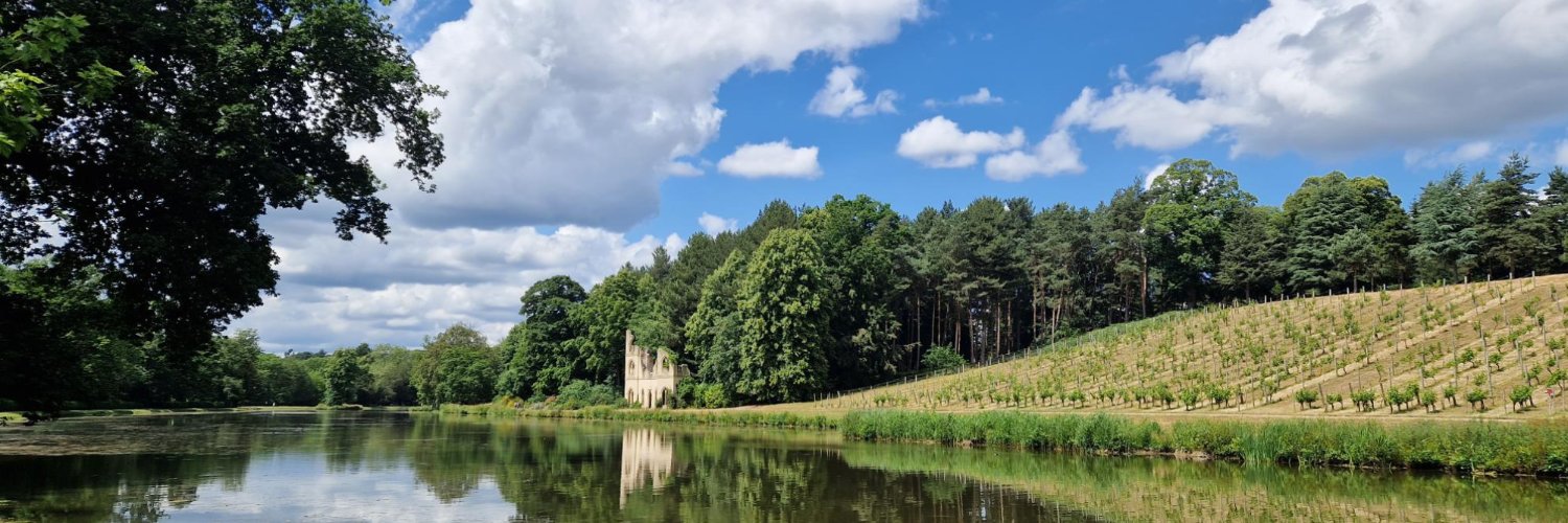 Painshill banner