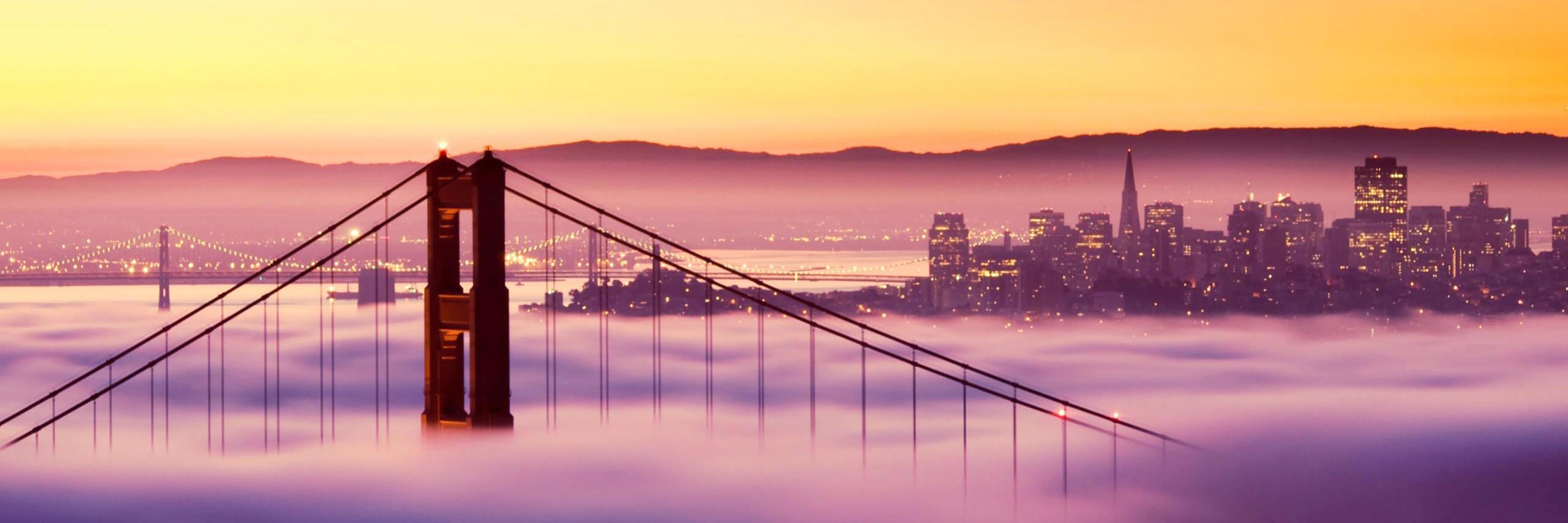 Fred Beringer banner