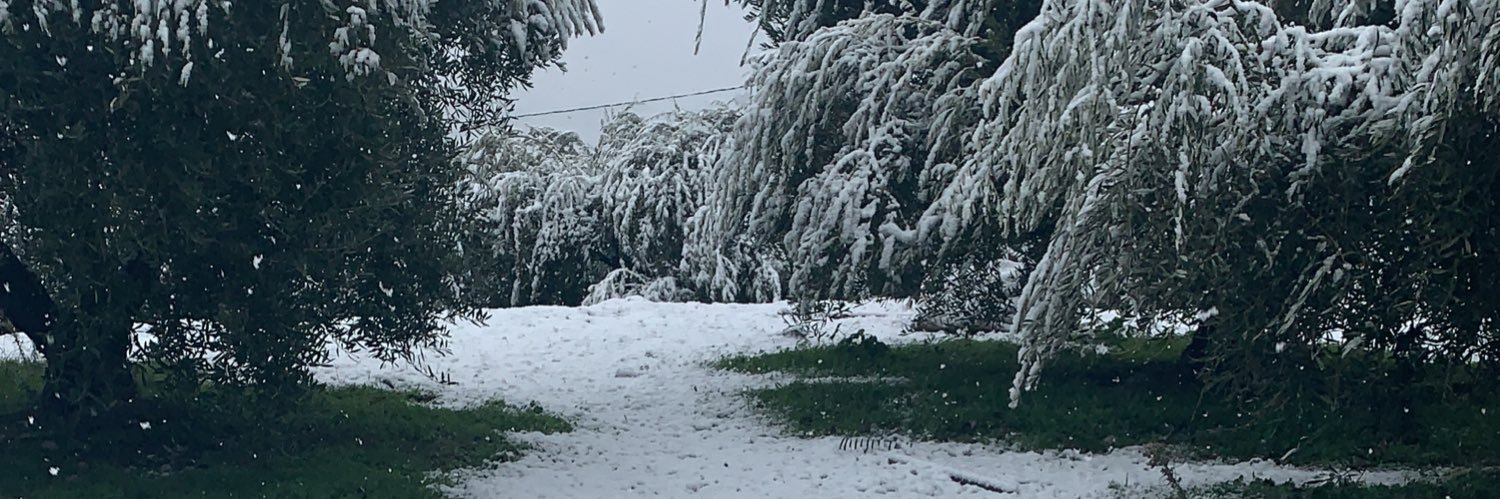saragrcsnz's profile banner image