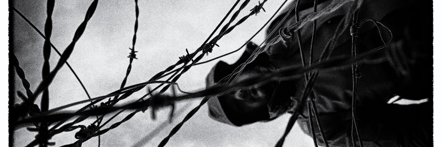 curotti's profile banner image