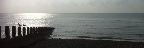 EmilyKJeffery Profile Banner
