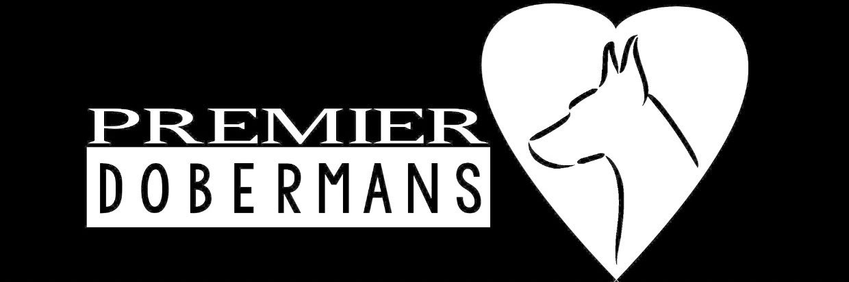 Premier Dobermans banner