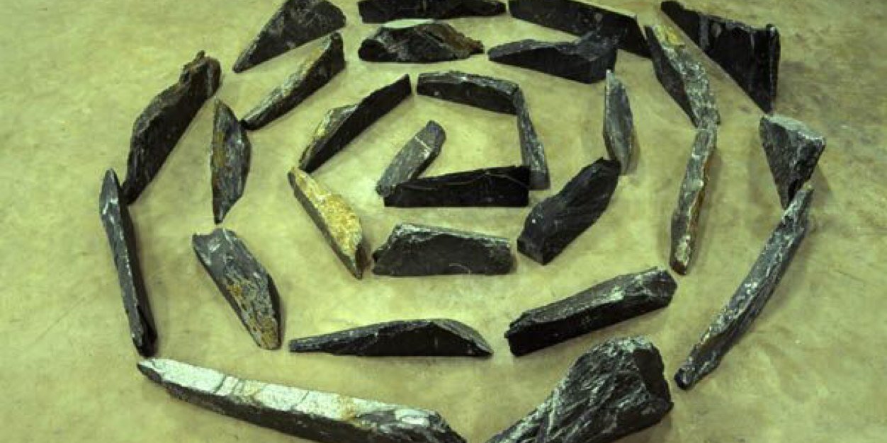 ShelliWar 🇺🇦 banner