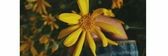 SaryServin's profile banner image