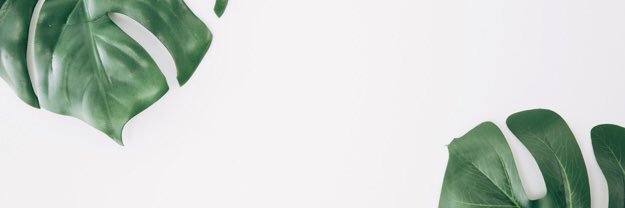 saeyaun's profile banner image