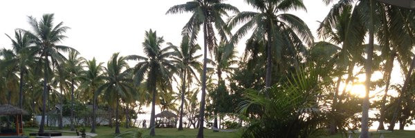 deeandersonNHS Profile Banner