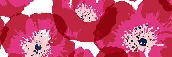 DNkoola's profile banner image