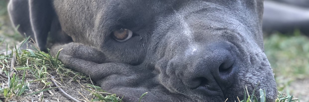 drewbuff33's profile banner image