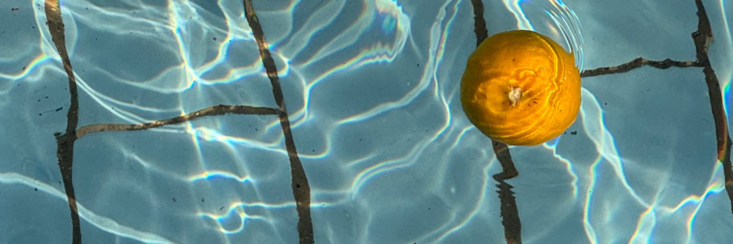temazimmer's profile banner image