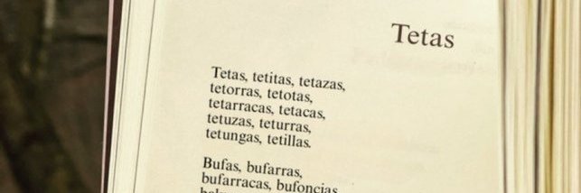 Zanón banner