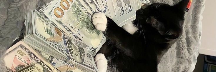 imganit's profile banner image
