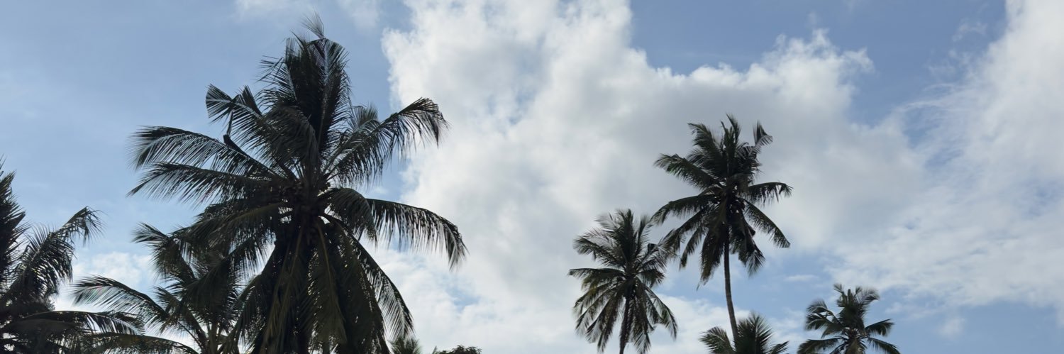 TheReallH5's profile banner image