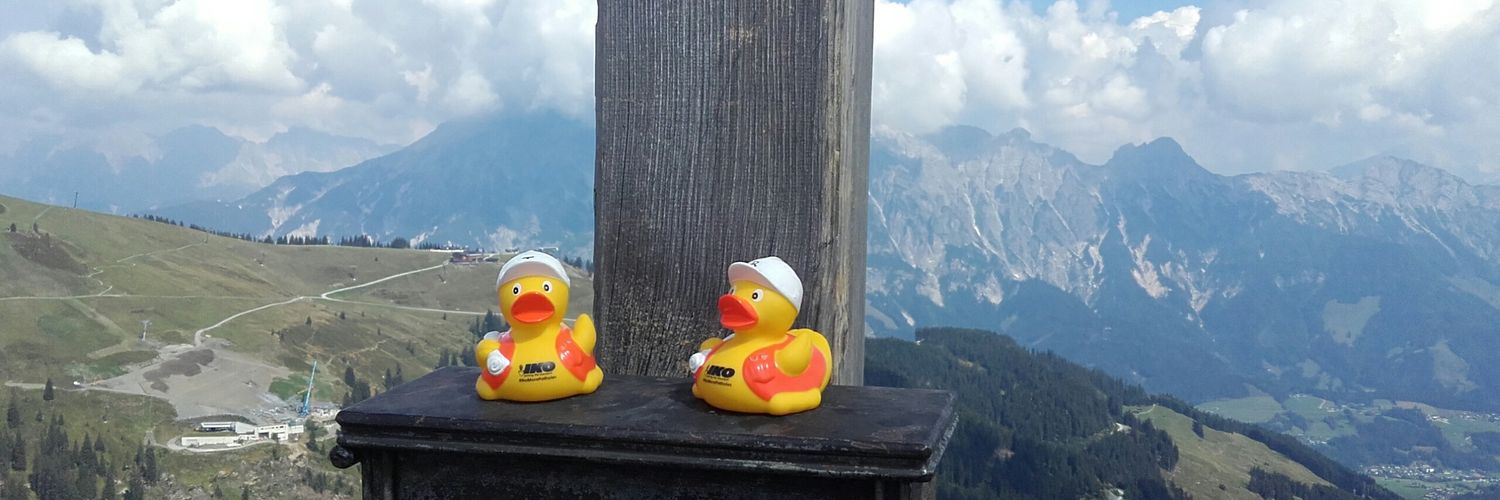 Teddy & Rocy banner