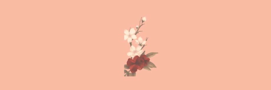LibertyDeMaria's profile banner image