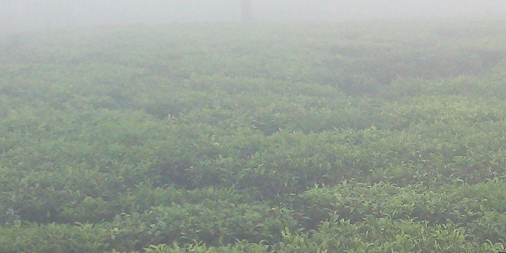 Nandanvarier's profile banner image