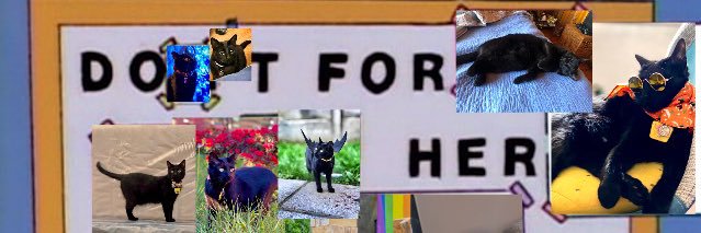 Joakyno's profile banner image