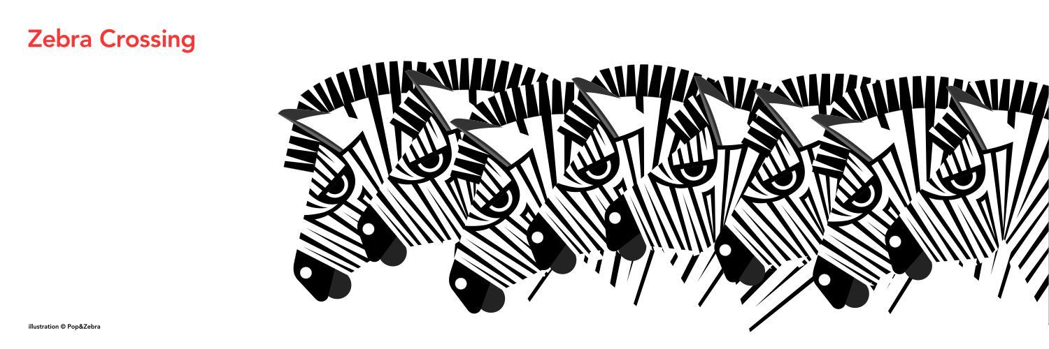 popandzebra's profile banner image