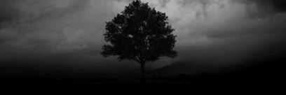 대립커 홍보봇 banner