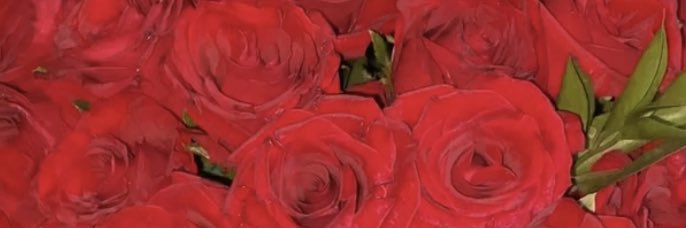 Yourlisah_'s profile banner image